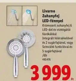 Lidl Livarno Zuhanyfej LED-fénnyel ajánlat