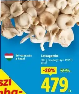 Lidl Laskagomba ajánlat