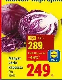 Lidl Magyar vörös káposzta ajánlat