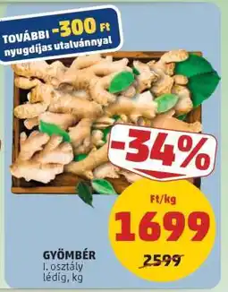 PENNY Gyömbér ajánlat