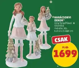 PENNY KARÁCSONYI DEKOR ajánlat