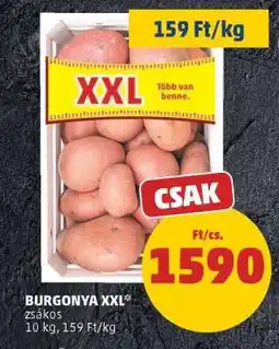 PENNY BURGONYA XXL ajánlat