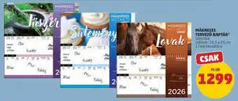 PENNY Mágneses Tervező Naptár ajánlat