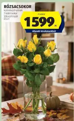 ALDI RÓZSACSOKOR ajánlat