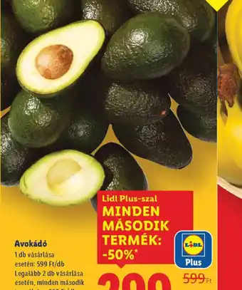 Lidl Avokád ajánlat
