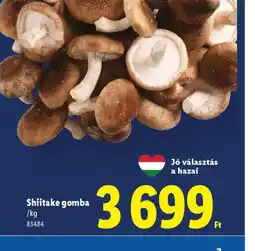 Lidl Shiitake gomba ajánlat
