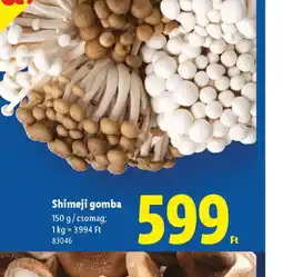 Lidl Shimeji gomba ajánlat