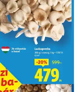 Lidl Laskagomba ajánlat