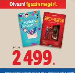 Lidl Könyv ajánlat