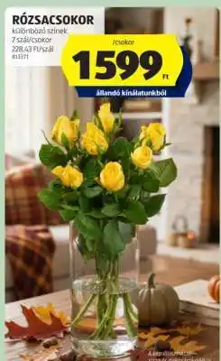 ALDI RÓZSACSOKOR ajánlat