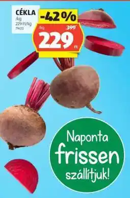 ALDI Cékla ajánlat
