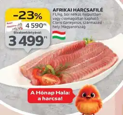 Auchan Afrikai Harcsafilé ajánlat