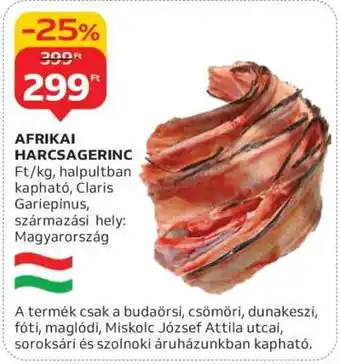 Auchan Afrikai Harcsagerinc ajánlat