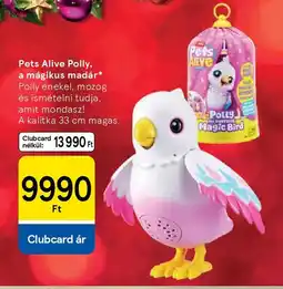 Tesco Pets Alive Polly, a mágikus madár ajánlat