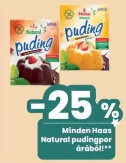 Interspar Haas Natural pudingpor ajánlat