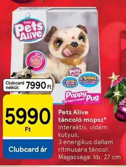 Tesco Pets Alive táncoló mopsz ajánlat