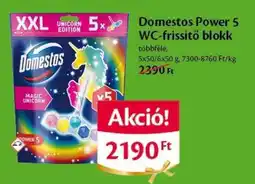 EcoFamily Domestos Power 5 WC-frissítő blokk ajánlat