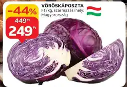 Auchan Vöröskáposzta ajánlat