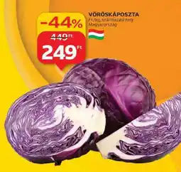Auchan Vöröskáposzta ajánlat
