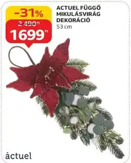 Auchan ACTUEL FÜGGŐ MIKULÁSVIRÁG DEKORÁCIÓ ajánlat