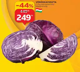 Auchan VÖRÖSKÁPOSZTA ajánlat