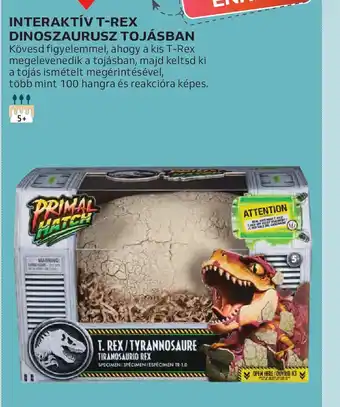 Auchan INTERAKTÍV T-REX DINOSZAURUSZ TOJÁSBAN ajánlat