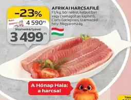 Auchan AFRIKAI HARCSAFILÉ ajánlat
