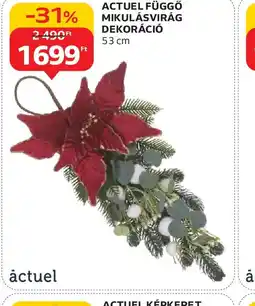 Auchan ACTUEL FÜGGŐ MIKULÁSVIRÁG DEKORÁCI ajánlat