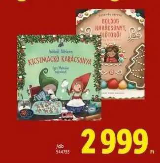 Lidl Könyvek ajánlat