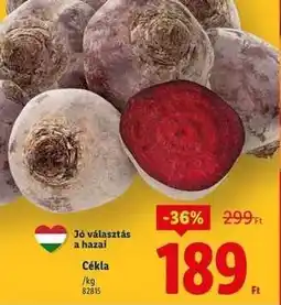 Lidl Cékla ajánlat