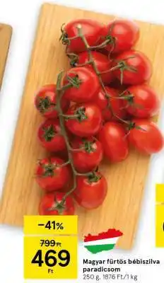 Magyar fürtös bébiszilva-paradicsom