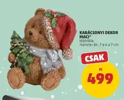 PENNY KARÁCSONYI DEKOR MACI ajánlat