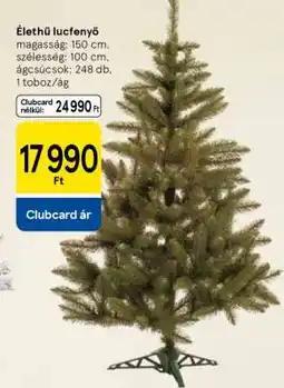 Tesco Élethű lucfenyő ajánlat