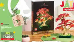 Interspar Vörös levelű japán juhar bonsai ajánlat