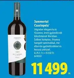 Lidl Jammertal Cassiopeia ajánlat
