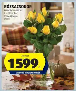 ALDI RÓZSACSOKOR ajánlat
