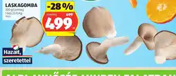 ALDI LASKAGOMBA ajánlat