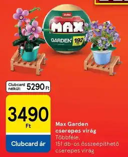 Tesco Max Garden cserepes virág ajánlat