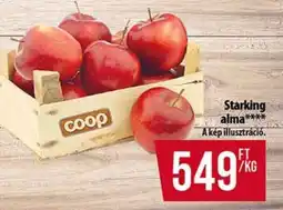 Coop Starking alma ajánlat