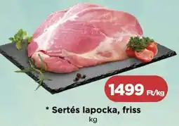 Real Sertés lapocka, friss ajánlat