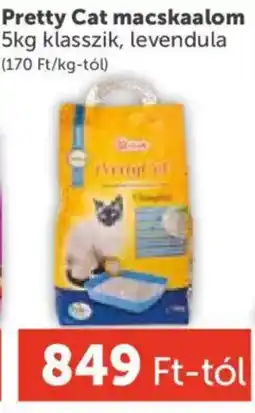 PRIVÁT Pretty Cat macskaalom ajánlat