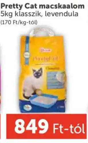 PRIVÁT Pretty Cat macskaalom ajánlat
