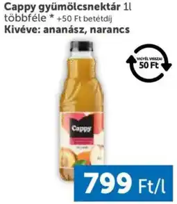 PRIVÁT Cappy gyümölcsnektár ajánlat