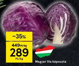 Tesco Magyar lila káposzta ajánlat