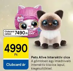Tesco Pets Alive Interaktív cica ajánlat