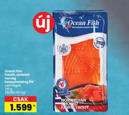 Interspar Ocean Fish füstölt, szeletelt norvég lazacpisztráng filé ajánlat