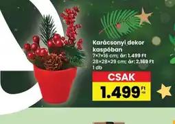 Interspar Karácsonyi dekor kaspban ajánlat