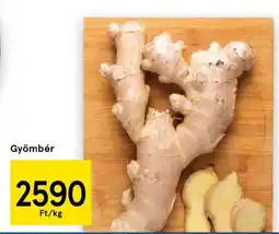 Tesco Gyömbér ajánlat