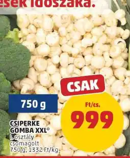 PENNY Csiperke Gomba XXL ajánlat