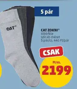 PENNY CAT ZOKNI ajánlat